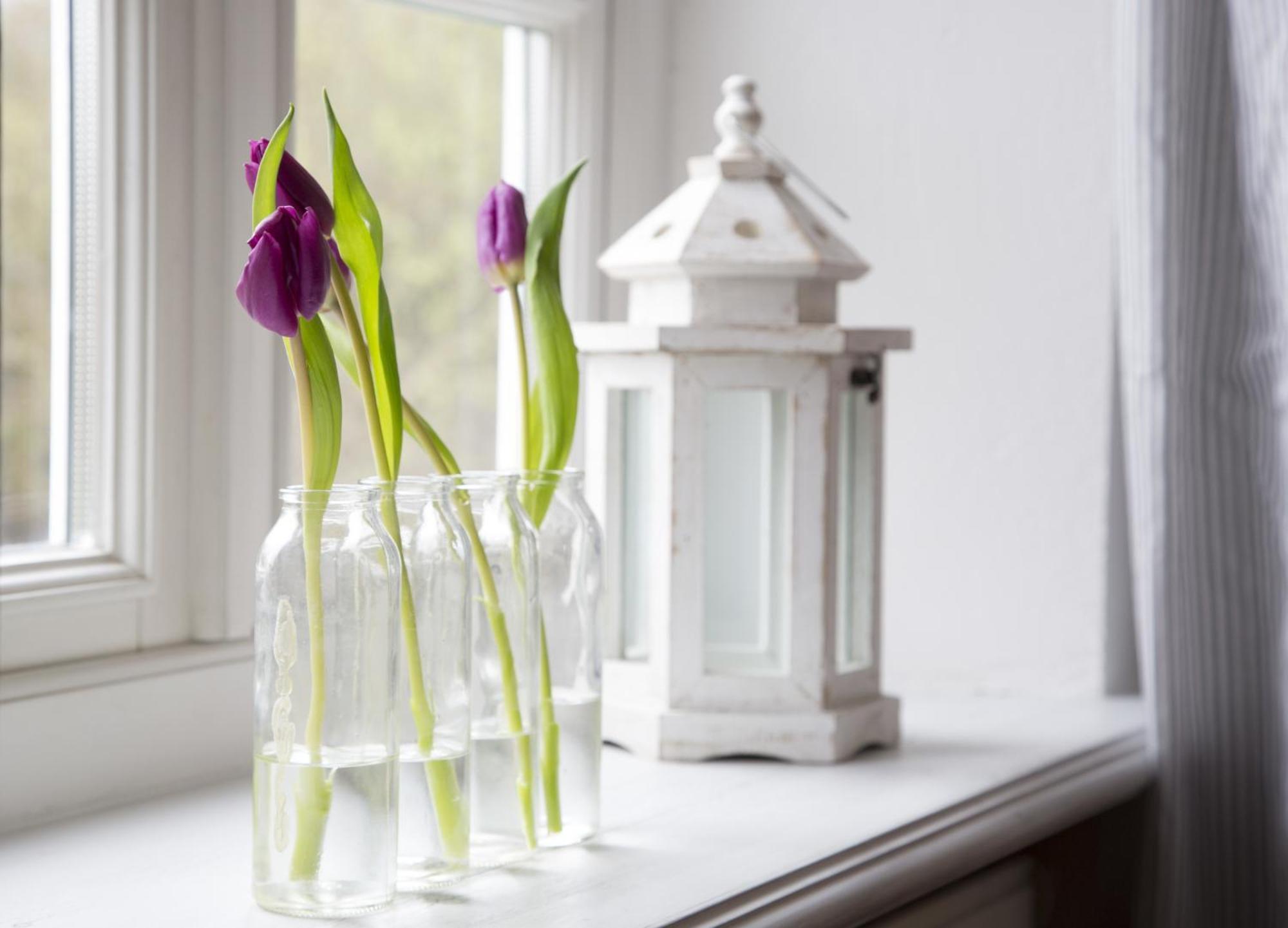 Ferienhaeuser Im Sylter Gartenweg ห้อง รูปภาพ